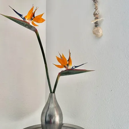 Stylish House In A Real With Private Garden *