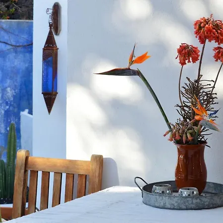 Tatil Evi Stylish House In A Real With Private Garden