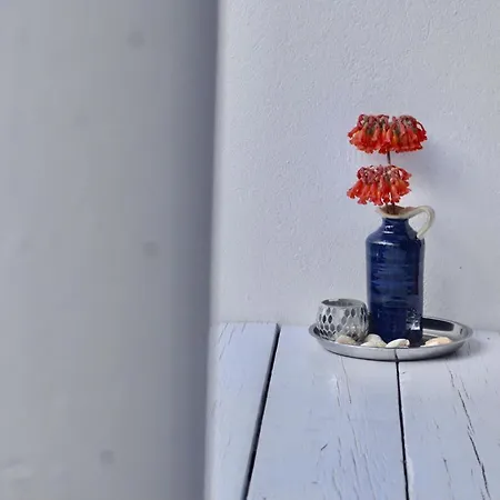 Stylish House In A Real With Private Garden *